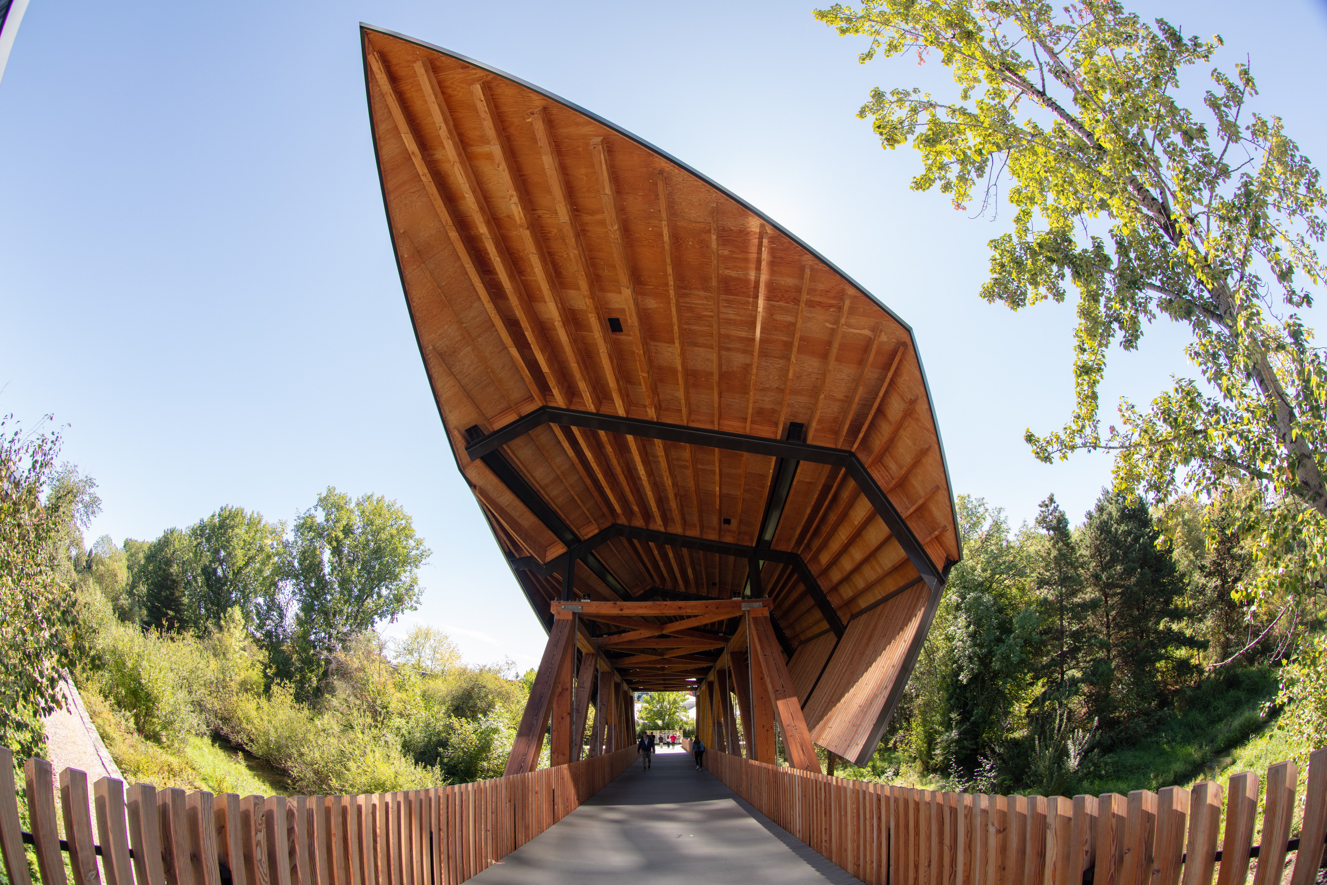 wooden bridge on nike campus